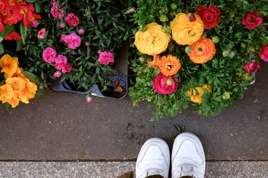 A top-down view of a concrete sidewalk displaying vibrant flower arrangements in pots and trays, featuring bright yellow, orange, pink, and red blooms. The flowers appear fresh with full, textured pet