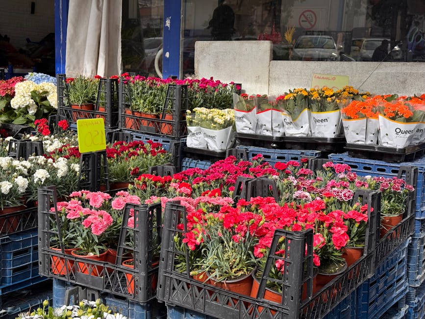 A display of various potted flowers arranged outdoors in black plastic crates on a busy street. The arrangement features vibrant pink, red, white, yellow, and orange blossoms, primarily carnations and